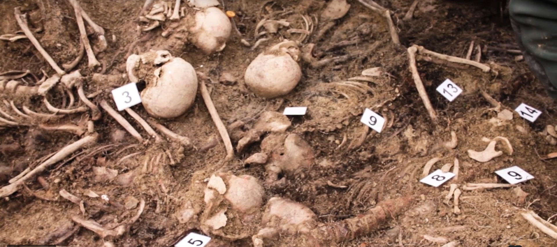 Imagen de los restos hallados en la fosa de Olave. Gobierno de Navarra