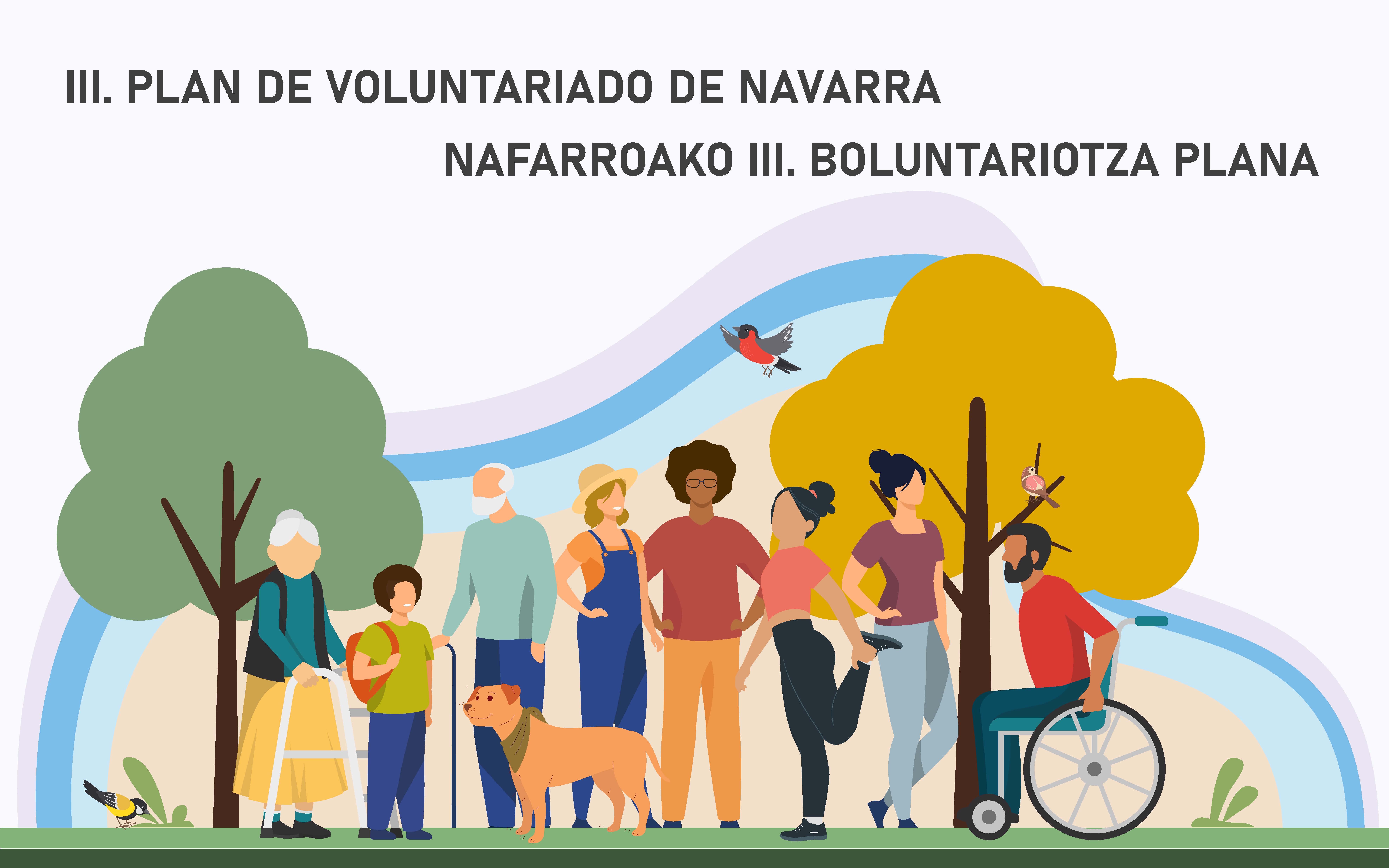 III. Plan de Voluntariado de Navarra