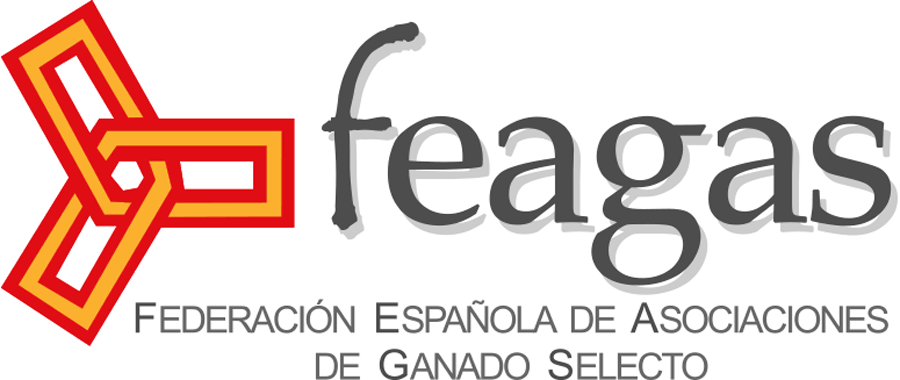 Una delegación del laboratorio de NASERTIC visita FEAGAS