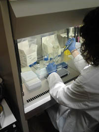 El laboratorio de Nasertic, único de España acreditado por categoría de ensayo para la obtención de perfiles genéticos y análisis de filiación