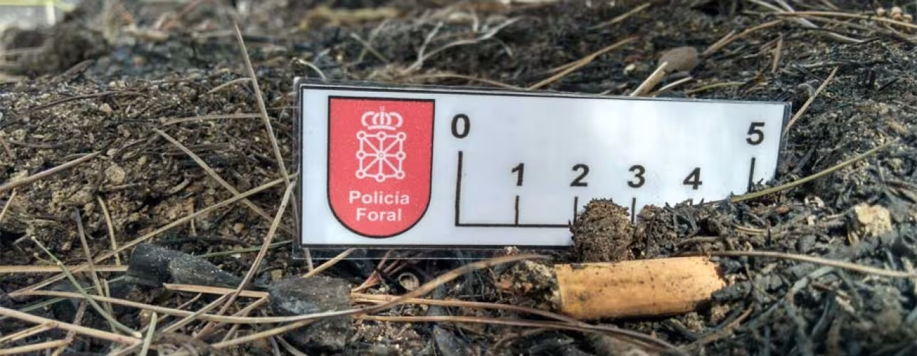 Una colilla sin dueño (Incendio Tafalla) - DNoticias