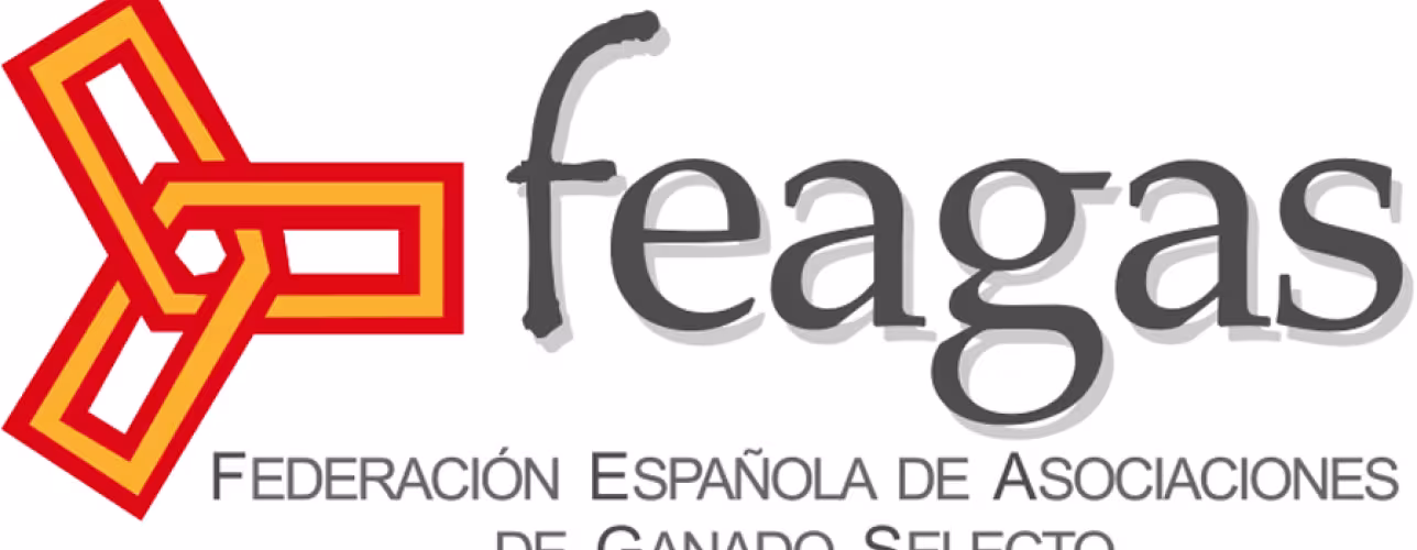 Una delegación del laboratorio de NASERTIC visita FEAGAS