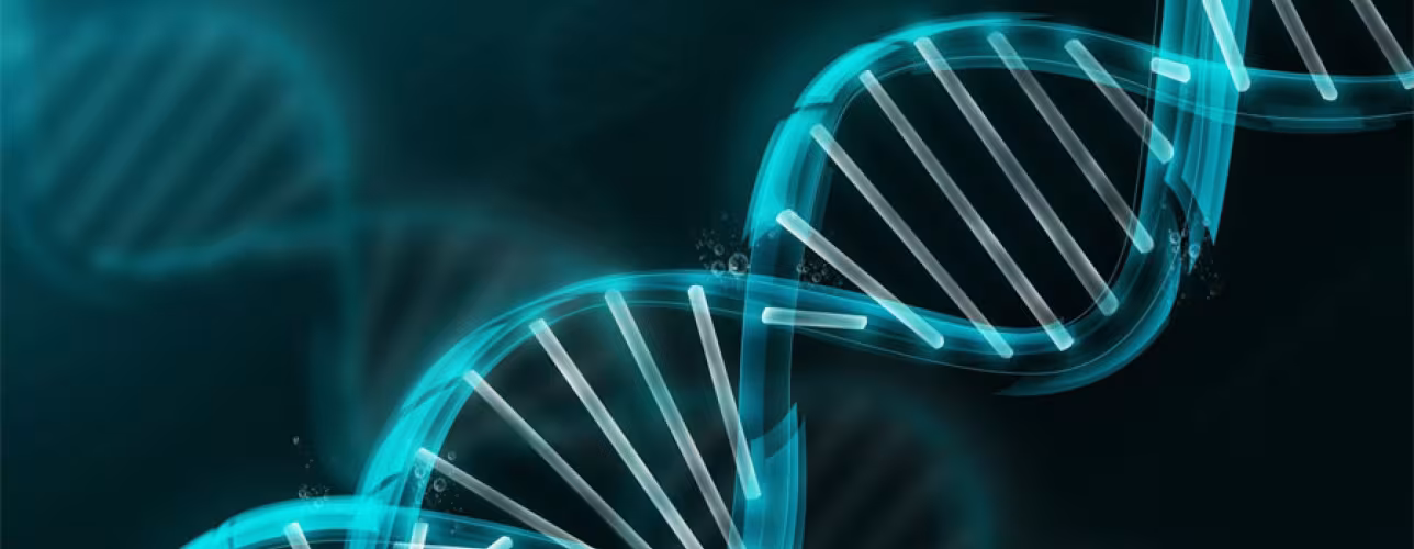 Celebrada la reunión de seguimiento del convenio entre NASERTIC y FEAGAS