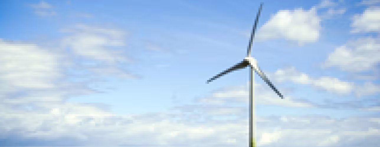 Las TIC a favor del medio ambiente