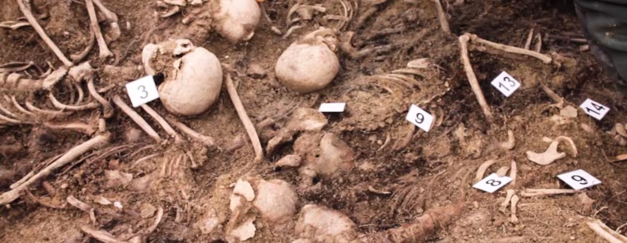 Imagen de los restos hallados en la fosa de Olave. Gobierno de Navarra