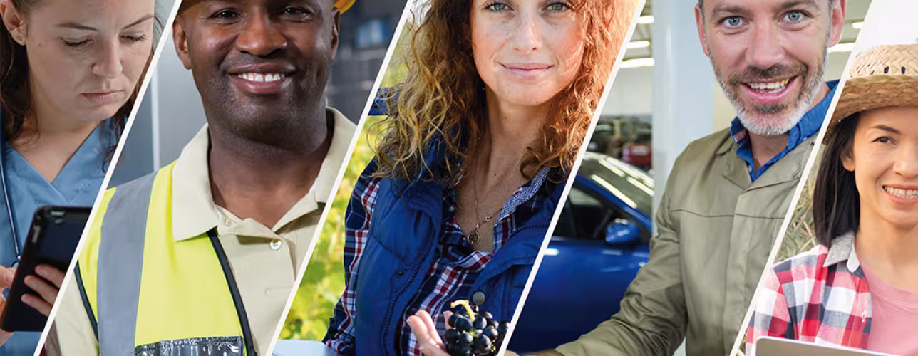 Cartel de la campaña